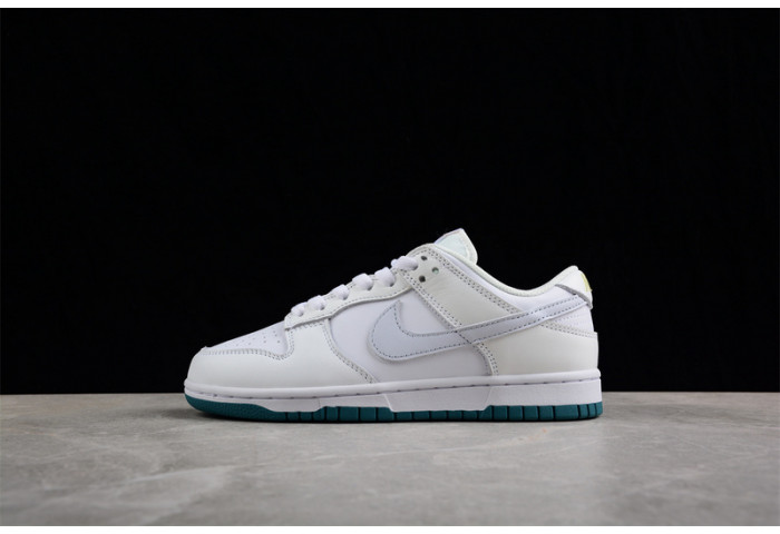 nike sb dunk low fd9911-101