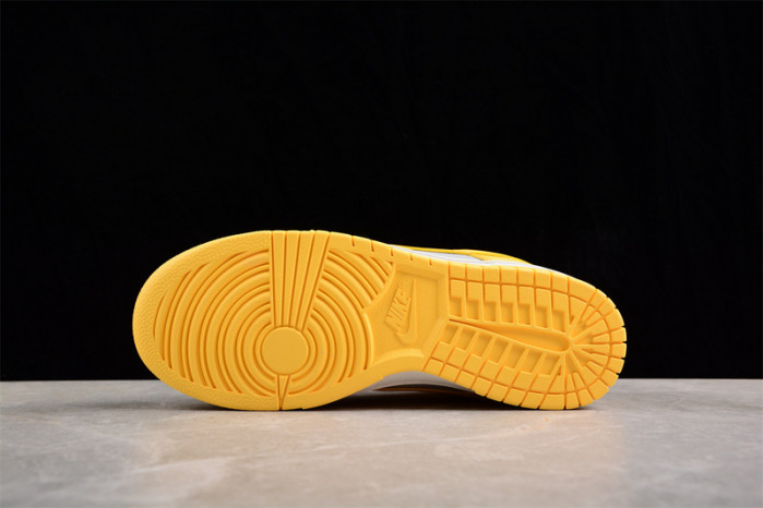 nike sb dunk low dd1503-002