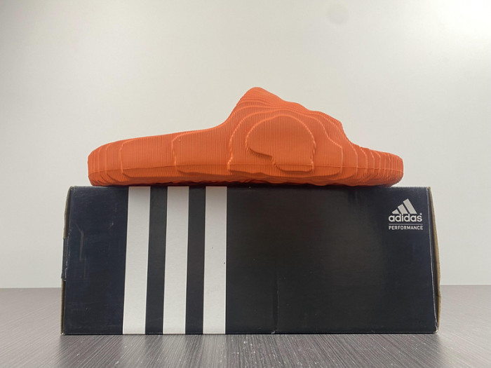 new colleettion  660202